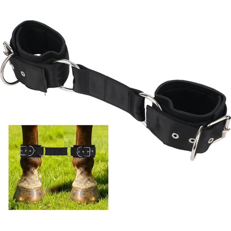 Entraves à 2 Pattes, Sangles Réglables Faciles à Utiliser Légères et Souples Accessoires pour Chevaux Pâturage et Entraînement (Noir) (1/5)