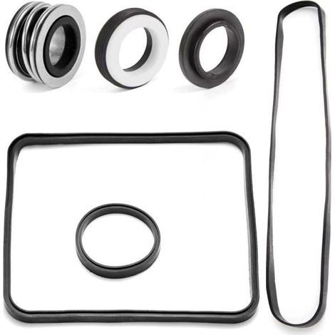 Kit de joints spécifique pour pompes de piscine Hayward, compatible avec les modèles SP2600 et SP1600 (B) (1/5)