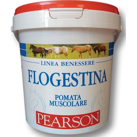 FLOGESTINA Pearson pomata muscolare indicata per edemi, traumi e contusioni 1500 g