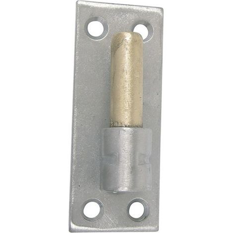 AFBAT Gond Sur Platine Inox Brossé, Dia. 14 X Ht.100 Mm (1/2)