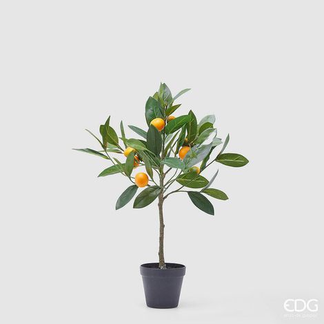 EDG Enzo De Gasperi Mandarino con Vaso H 56 Cm Pianta Artificiale Mix Verde