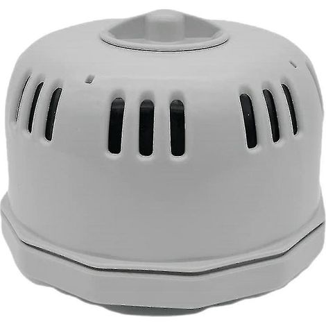 Compatible avec le support de filtre Lay Z V1 S1 pour spas et piscines. Nettoyage des spas et piscines. (1/5)