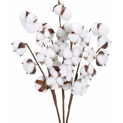 RHG Fl De Coton Artificielle Coton 1 Branche Decorative pour Vase Balcon Decoration Fl Sechees Naturel Coton Fls Artificielles Deco Fls Sechees Bouquet, 7 TêTes