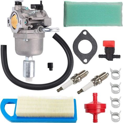 Carburateur pour Briggs Stratton 13.5 HP – 591731, 796109, 594593 – 31H777 (1/4)