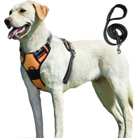 Harnais Anti Traction - BIGILANTUH - M - Réfléchissant - Respirant - Durable (1/4)