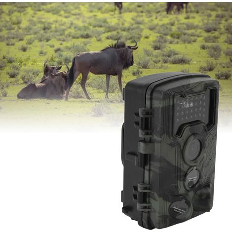 Caméra de surveillance de jeu PR1000 - 1080P avec grand aperture, détection automatique d'exposition et vision nocturne HD (1/5)