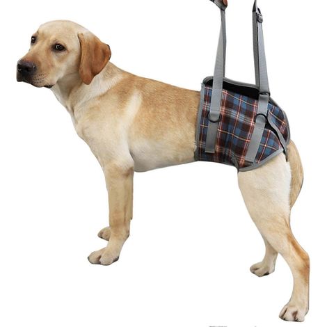 Harnais de levage pour chien, réglable, respirant, auxiliaire, en écharpe, pour chien handicapé ou âgé (1/4)