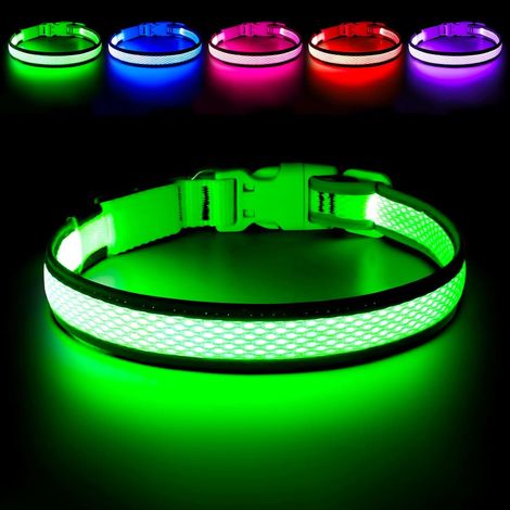 Collier lumineux LED pour chien - Collier lumineux rechargeable et réglable - Sécurité et visibilité dans l'obscurité - Convient aux chiens de petite, moyenne et grande taille - Vert clair (1/5)