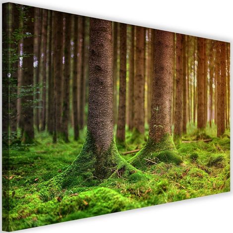 Tableau sur toile Arbres Nature Paysage 60x40 (1/5)