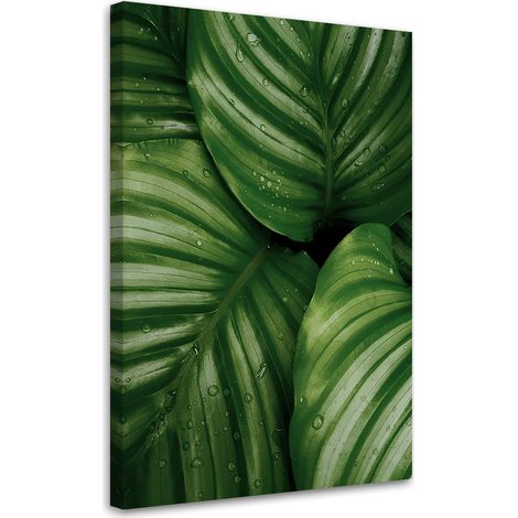Tableau sur toile Gouttes de rosée sur les feuilles 40x60 (1/5)