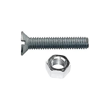 ORECA - 10 VITI PER METALLO - TESTA PIANA SVASATA CON DADO ESAGONALE 4X30MM - FERRO ZINCATO