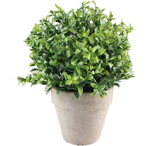 Künstliche Sukkulenten - Blumentopf - Bonsai - Dekoration für Zuhause, Büro und Schlafzimmer (C)
