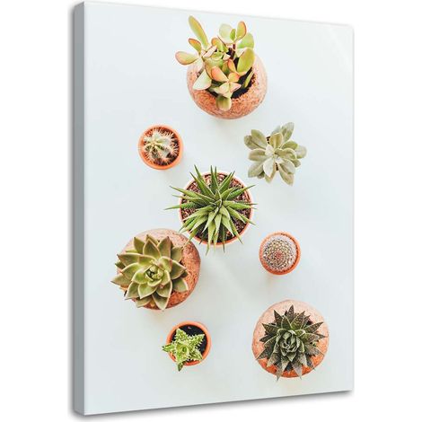 Tableau sur toile Fleurs Plantes Nature 40x60 (1/5)