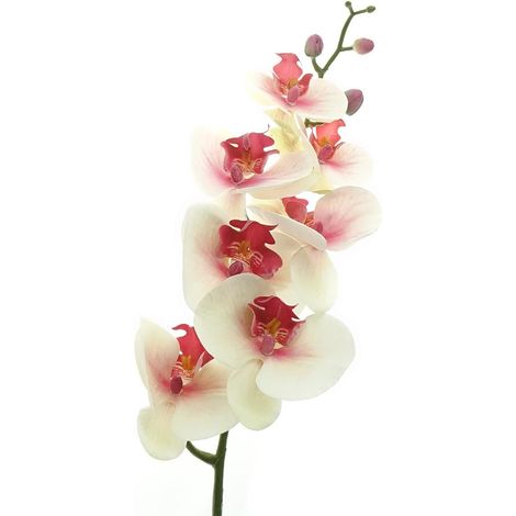 GASPER Schmetterlingsorchidee - Phalenopsis Weiß & rosa Auge 86 cm - Kunstblumen (1/2)