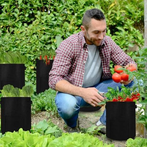 Pack 2 Sacs à Plante Pommes de Terre Sac Plantation 7 Gallons Pots en Tissu Non-tissé pour Pommes de Terre Carottes Tomates (1/4)