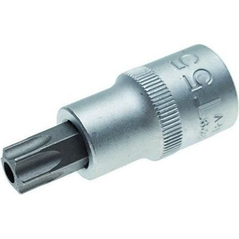 Tournevis - Embout Torx T55 - Pour Bricolage Et Travaux Professionnels - 1 Pièce