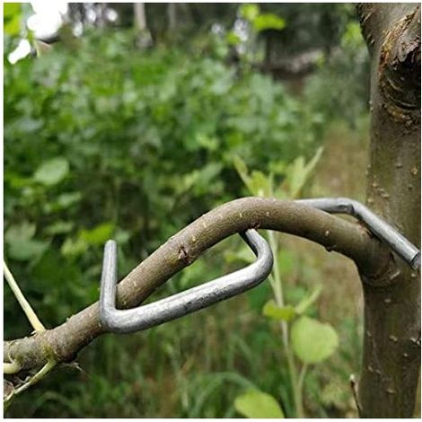 Écarteur de branches d'arbres fruitiers, outil agricole, angle ouvert, outil d'ouverture et de pliage d'arbres fruitiers, (M-10cm) (1/5)