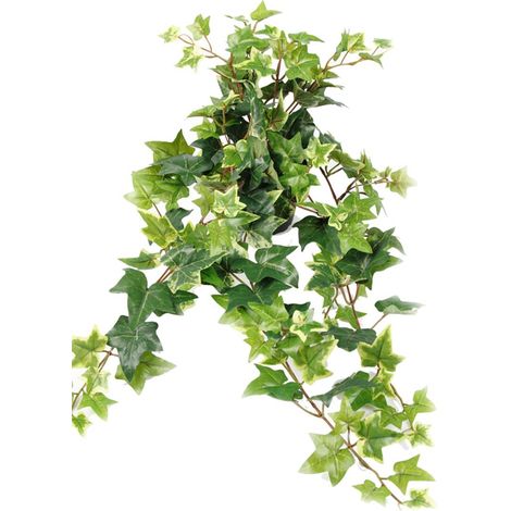 Lierre artificiel panaché en chute L60cm en pot 9 ramures dense H25cm (1/3)