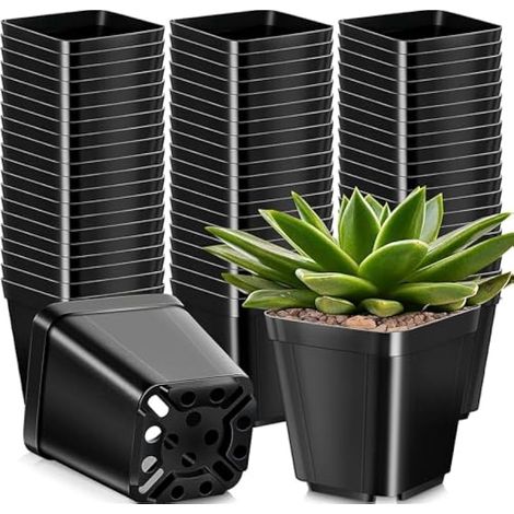 50 pots carrés en plastique épais 10 cm, pots pour plantes succulentes avec trous de drainage, noirs (1/5)