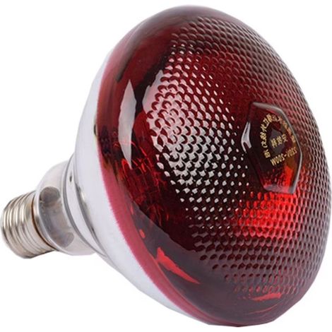 Ampoule Infrarouge Chauffante - 150W Rouge E27 Verre Épais 5000h - Pour Élevage Volaille et Animaux de Ferme (1/5)