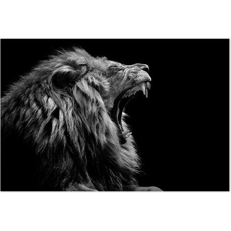Affiche Baillement de lion - 60x40cm - made in France (1/5)