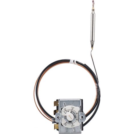 jumo Temperaturwächter 50-300°C Fernleitung 2m 60003225 (1/4)