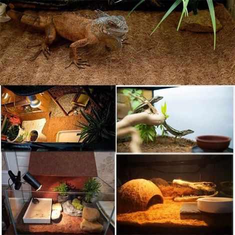 Tapis Reptile Fibre de Coco Naturel pour Tortues, Lézards et Serpents - Tapis Habitat Durable 60x100cm Marron