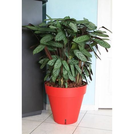 RIVIERA Vaso da fiori Loft con riserva d'acqua - Rotondo - Ø 50 x H 46 cm - Rosso (1/3)