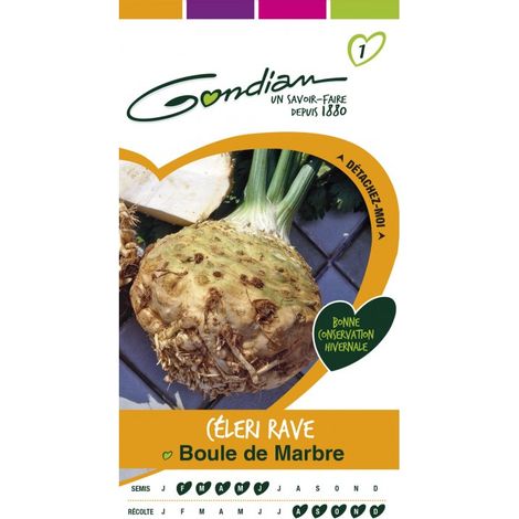Gondian - Céleri Rave Boule de Marbre