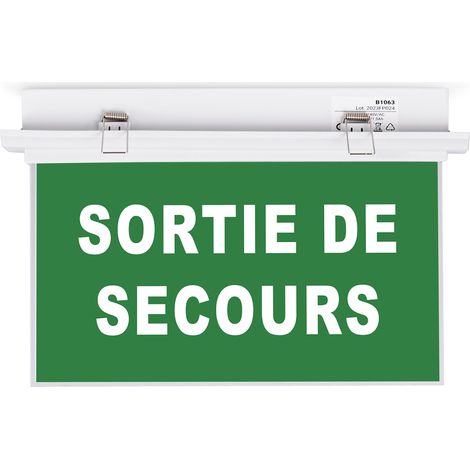 Bloc autonome d'éclairage de sécurité avec pictogramme (1/5)
