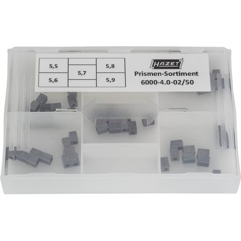 Hazet Prismen-Sortiment 5,5 / 5,6 / 5,7 / 5,8 / 5,9 mm, 6000-4.0-02/50 (1/2)
