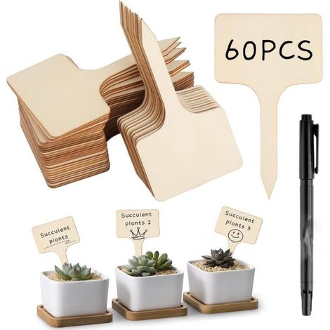 Lot de 60 panneaux pour plantes, panneaux pour plantes avec 1 marqueur noir double face, panneaux pour étiquettes de plantes en bois, panneaux pour plantes pour étiqueter les graines en pot, les herbe (1/5)