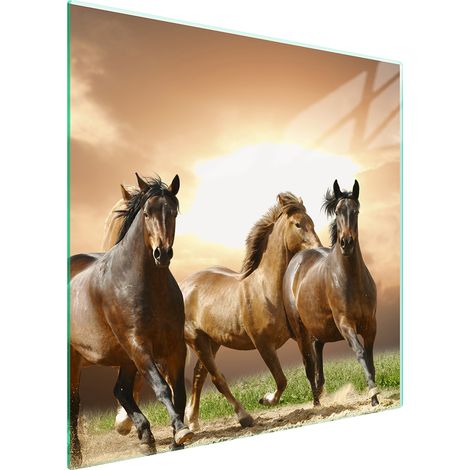 PLACA PROTECTORA DE VIDRIO PARA ESTUFA 50x52 CABALLOS (1/5)