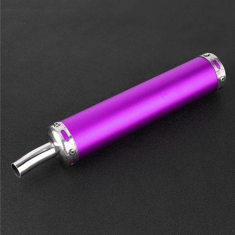 Silencieux d'échappement en acier inoxydable 20 mm/0,8 po, pièces modifiées pour moto 2 temps, violet (1/5)