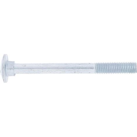 Vite a testa tonda con quadro sottotesta zincata M12x130 8.8 UNIVERSALE 6031213088 (1/3)
