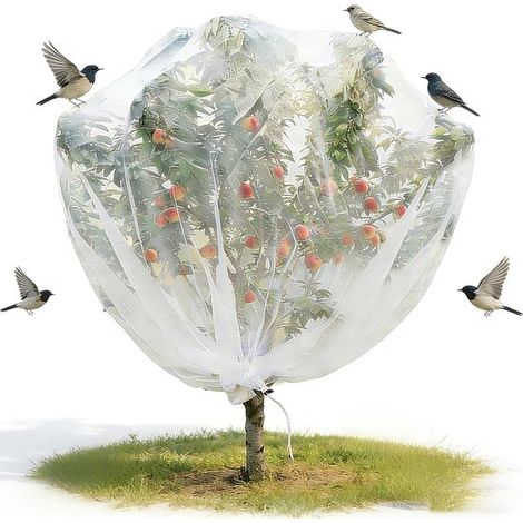 Malla protectora para árboles frutales - 300x300cm - Resistente a insectos y pájaros - Cierre de cremallera y cordón - Bolsa impermeable para jardín