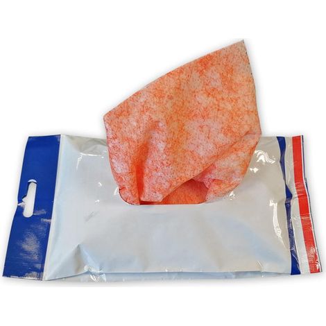Lot de 12 lingettes nettoyantes pour les mains roxy hand cleaner