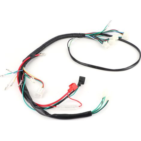 Jeffergarden Faisceau de cblage de démarrage électrique pour PIT Trail Quad Dirt Bike ATV 50cc 110cc 125cc 140cc (1/5)