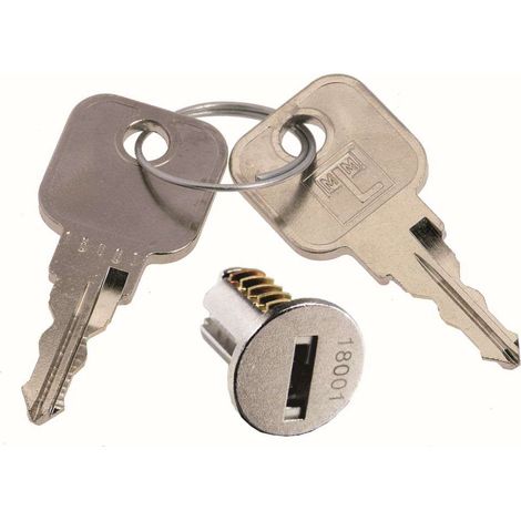 Cyclingcolors – Barillet de remplacement pour serrure de boîte aux lettres – Insert cylindre 16,5mm – Avec 2 clés métalliques profil B1 – Noyau verrou sécurité