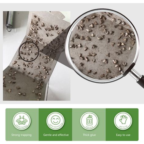 Piège à mites aux phéromones, attractif et insecticide de qualité supérieure pour vêtements et aliments de cuisine (1/5)