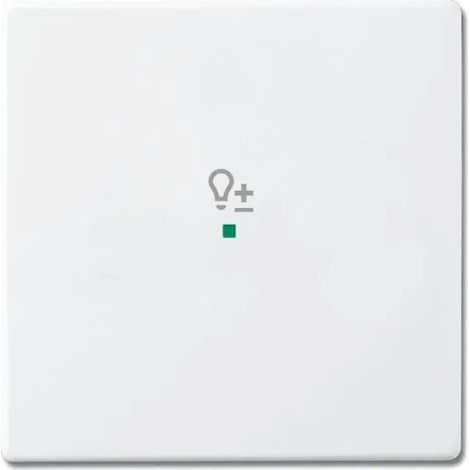 Placa de acabado Busch Jaeger 6220-0-0046 11x11 cm blanca