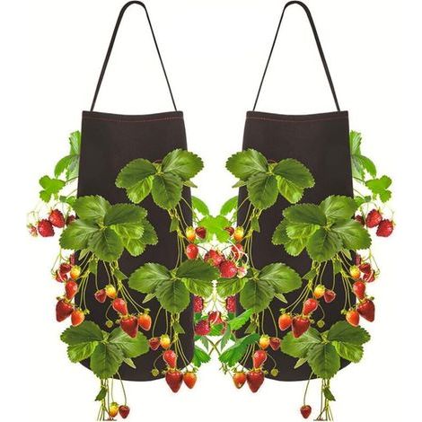 2pcs Sac de Plantation pour Fraise, Sac de Plantation de Pomme de Terre , Sac Potager avec la Fenêtre et la Poignée pour des Fraises, des Tomates, des Légumes (1/5)