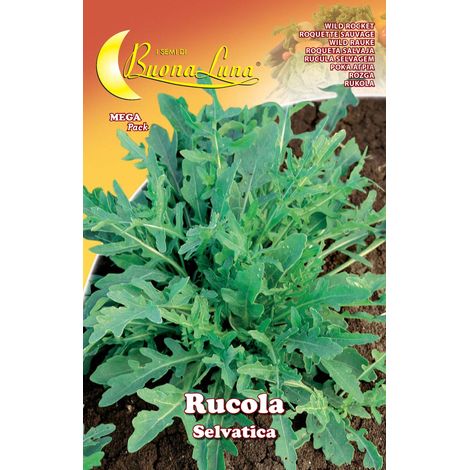 SEMI ORTO RUCOLA SELVATICA- HORTUS SEMENTI- 10,0 pz