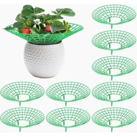 9 Pièces Support Fraisier, Plastique Amovible Supports pour Fraises Diamètre 30.6 cm Support de Culture de Fraises pour Fraise, Légume, Fleur, Plante (Vert) (1/5)