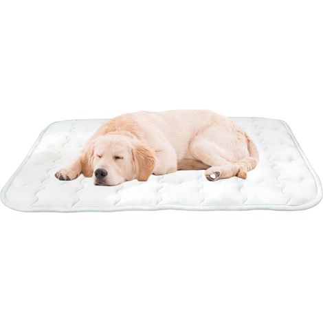 Tapis de Rafraîchissant pour Chien Intérieur Antidérapant Lavable Portable Grand Lit Rafraîchissant pour Chien pour l'Intérieur, Balcon, Extérieur, Camping, Caisse, Sol, Été (1/5)