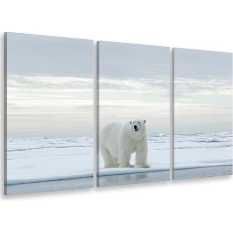Tableau triptyque Tableau photo grand ours blanc et banquise - 90x60 cm (1/5)