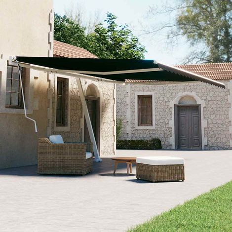 vidaXL Freestanding Manual Retractable Awning 600x300 cm Anthracite (1/5)