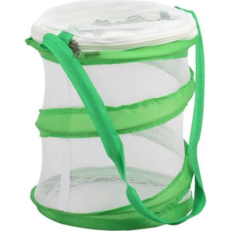 Cage pliable pour petite mante religieuse, phasme et papillon (1/5)