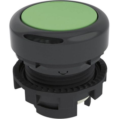 Pizzato Elettrica E21PU2R4210 E21PU2R4210 Bouton-poussoir vert 1 pc(s) (1/3)