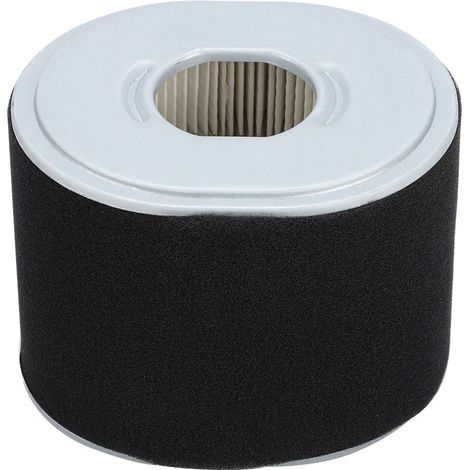 Accessory of replacement of air filter for mower to lawn for Honda GX390 GX340 11 13 HP (1/5)